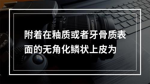 附着在釉质或者牙骨质表面的无角化鳞状上皮为