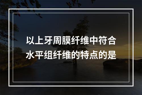 以上牙周膜纤维中符合水平组纤维的特点的是