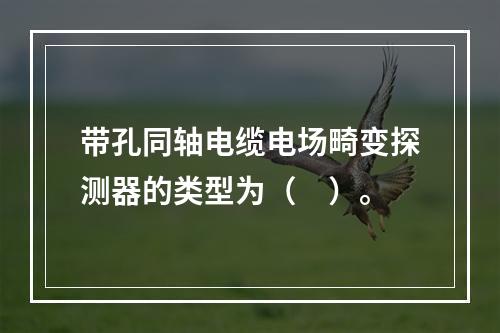 带孔同轴电缆电场畸变探测器的类型为（　）。