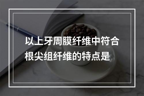 以上牙周膜纤维中符合根尖组纤维的特点是