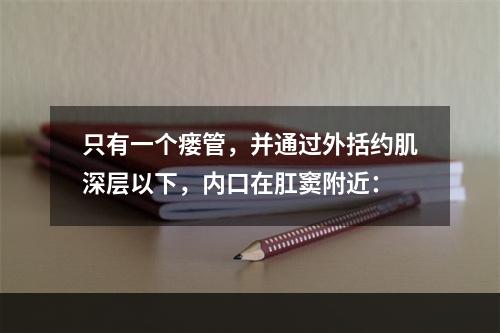 只有一个瘘管，并通过外括约肌深层以下，内口在肛窦附近：