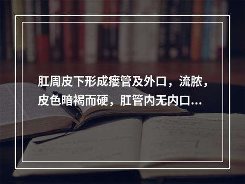 肛周皮下形成瘘管及外口，流脓，皮色暗褐而硬，肛管内无内口：