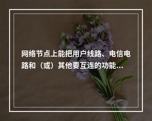 网络节点上能把用户线路、电信电路和（或）其他要互连的功能单元