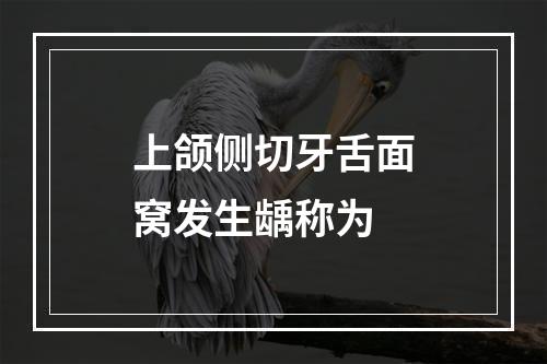 上颌侧切牙舌面窝发生龋称为