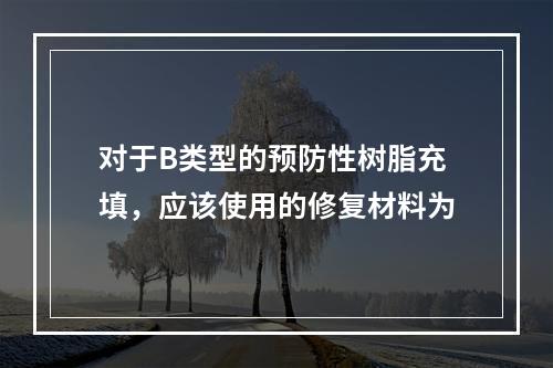 对于B类型的预防性树脂充填，应该使用的修复材料为