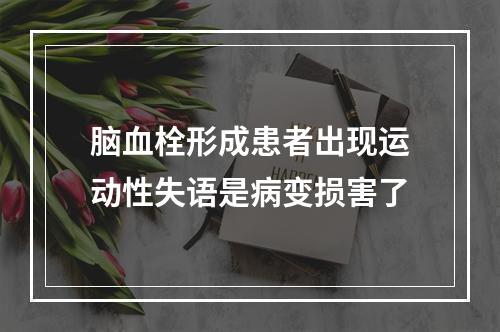 脑血栓形成患者出现运动性失语是病变损害了