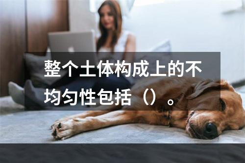 整个土体构成上的不均匀性包括（）。