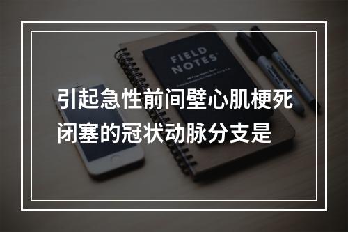 引起急性前间壁心肌梗死闭塞的冠状动脉分支是