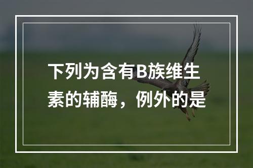 下列为含有B族维生素的辅酶，例外的是