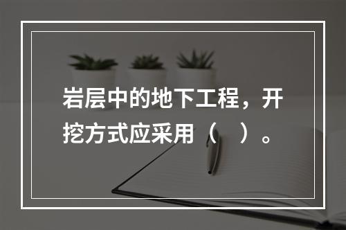 岩层中的地下工程，开挖方式应采用（　）。