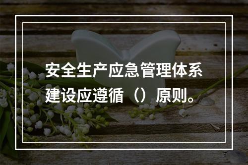 安全生产应急管理体系建设应遵循（）原则。