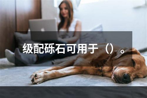 级配砾石可用于（）。