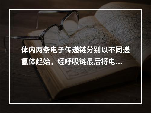 体内两条电子传递链分别以不同递氢体起始，经呼吸链最后将电子传