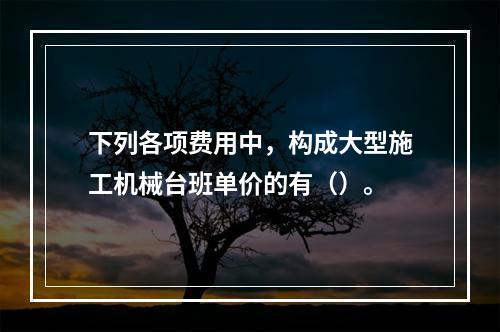 下列各项费用中，构成大型施工机械台班单价的有（）。