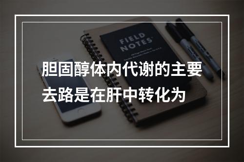 胆固醇体内代谢的主要去路是在肝中转化为