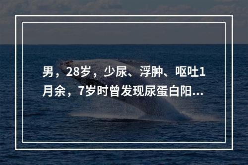 男，28岁，少尿、浮肿、呕吐1月余，7岁时曾发现尿蛋白阳性。