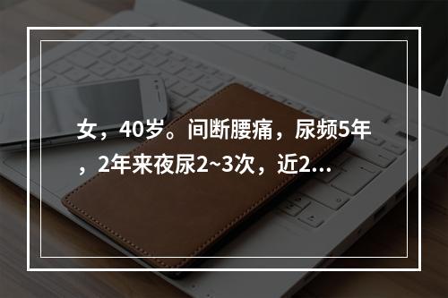 女，40岁。间断腰痛，尿频5年，2年来夜尿2~3次，近2周来