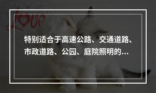 特别适合于高速公路、交通道路、市政道路、公园、庭院照明的灯为