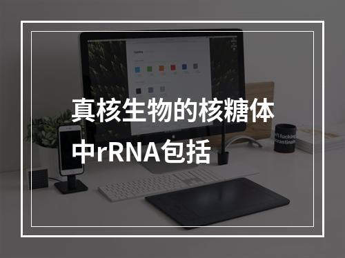 真核生物的核糖体中rRNA包括