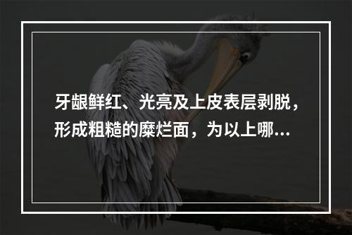 牙龈鲜红、光亮及上皮表层剥脱，形成粗糙的糜烂面，为以上哪项