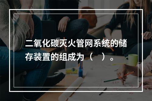 二氧化碳灭火管网系统的储存装置的组成为（　）。