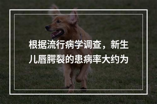 根据流行病学调查，新生儿唇腭裂的患病率大约为