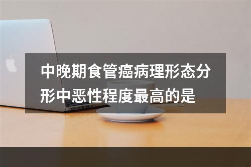 中晚期食管癌病理形态分形中恶性程度最高的是