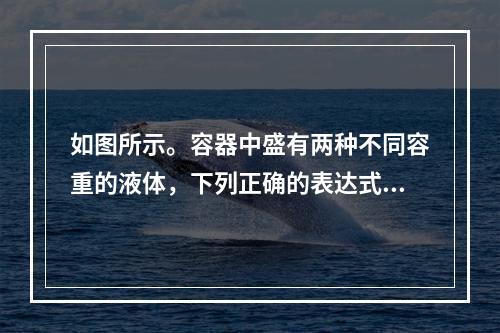 如图所示。容器中盛有两种不同容重的液体，下列正确的表达式为（