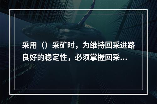 采用（）采矿时，为维持回采进路良好的稳定性，必须掌握回采进路