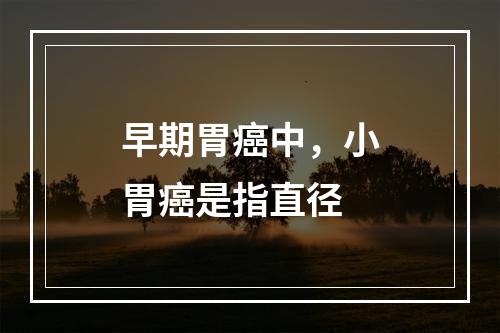 早期胃癌中，小胃癌是指直径