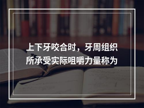 上下牙咬合时，牙周组织所承受实际咀嚼力量称为