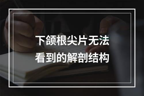 下颌根尖片无法看到的解剖结构