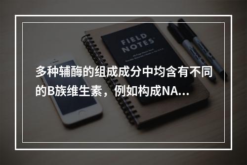 多种辅酶的组成成分中均含有不同的B族维生素，例如构成NAD+