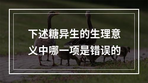 下述糖异生的生理意义中哪一项是错误的