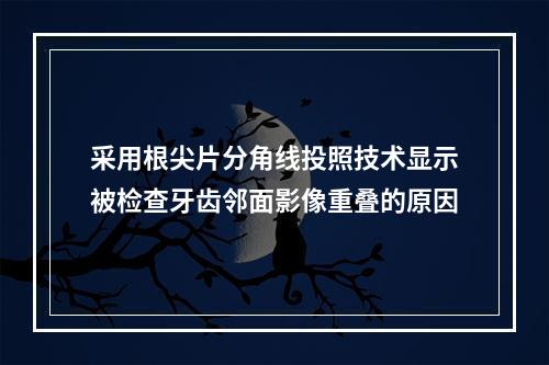 采用根尖片分角线投照技术显示被检查牙齿邻面影像重叠的原因