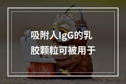 吸附人IgG的乳胶颗粒可被用于