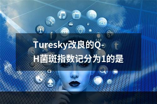 Turesky改良的Q-H菌斑指数记分为1的是