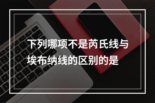 下列哪项不是芮氏线与埃布纳线的区别的是