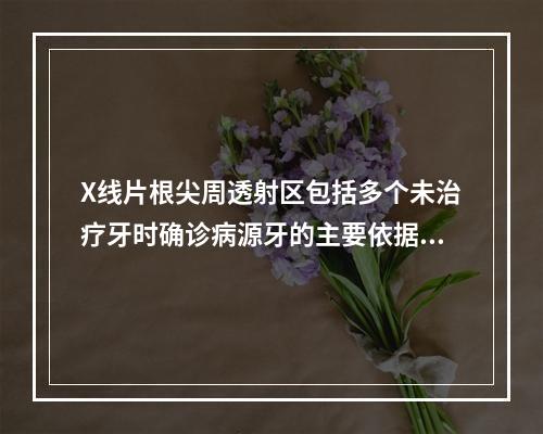 X线片根尖周透射区包括多个未治疗牙时确诊病源牙的主要依据是患