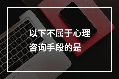 以下不属于心理咨询手段的是