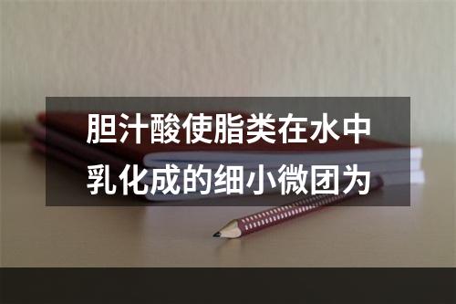 胆汁酸使脂类在水中乳化成的细小微团为