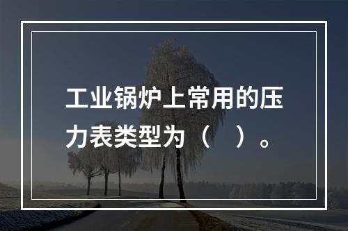 工业锅炉上常用的压力表类型为（　）。