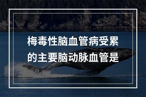 梅毒性脑血管病受累的主要脑动脉血管是