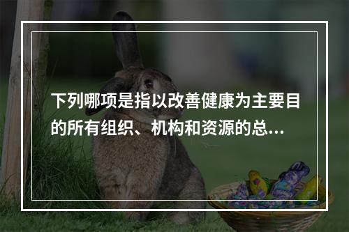 下列哪项是指以改善健康为主要目的所有组织、机构和资源的总和