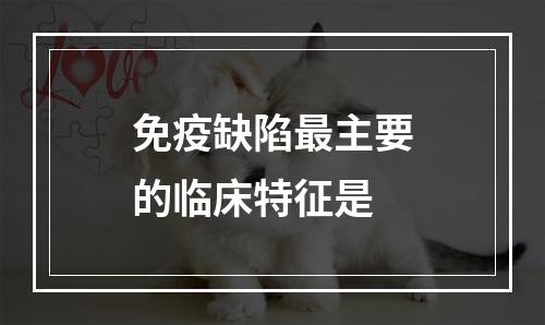 免疫缺陷最主要的临床特征是