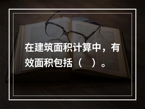 在建筑面积计算中，有效面积包括（　）。