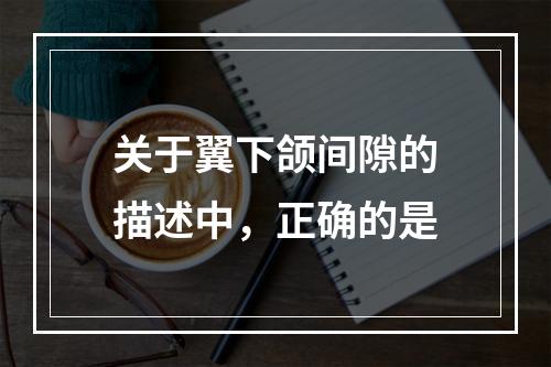 关于翼下颌间隙的描述中，正确的是