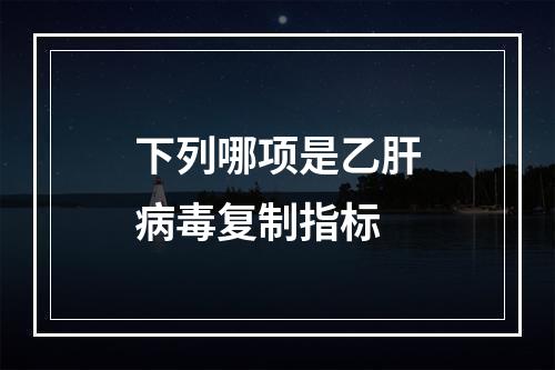 下列哪项是乙肝病毒复制指标