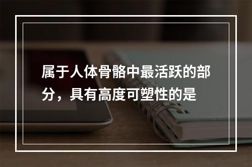 属于人体骨骼中最活跃的部分，具有高度可塑性的是