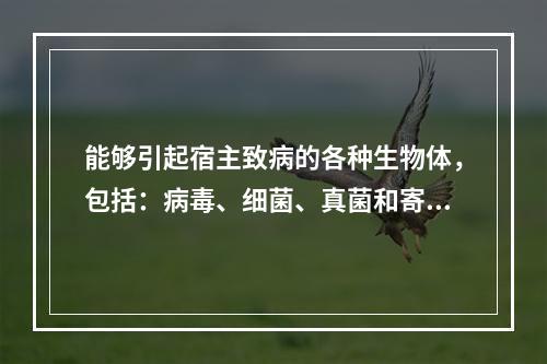 能够引起宿主致病的各种生物体，包括：病毒、细菌、真菌和寄生虫